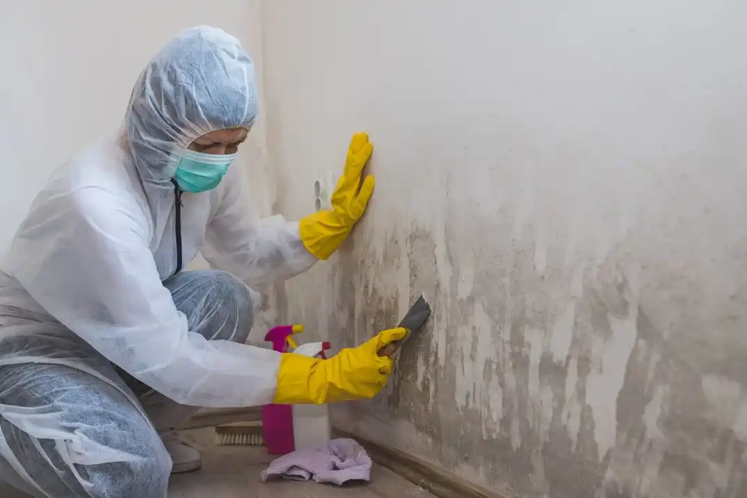 water damage restoration service Wyatt Farm